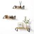 Półki Ścienne Wiszące Zestaw 3 szt. Dąb Artisan Loft Nowoczesne